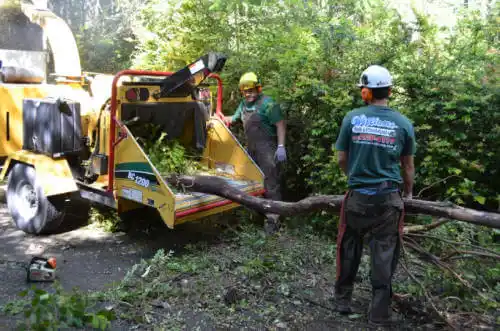 tree services Indian River Shores